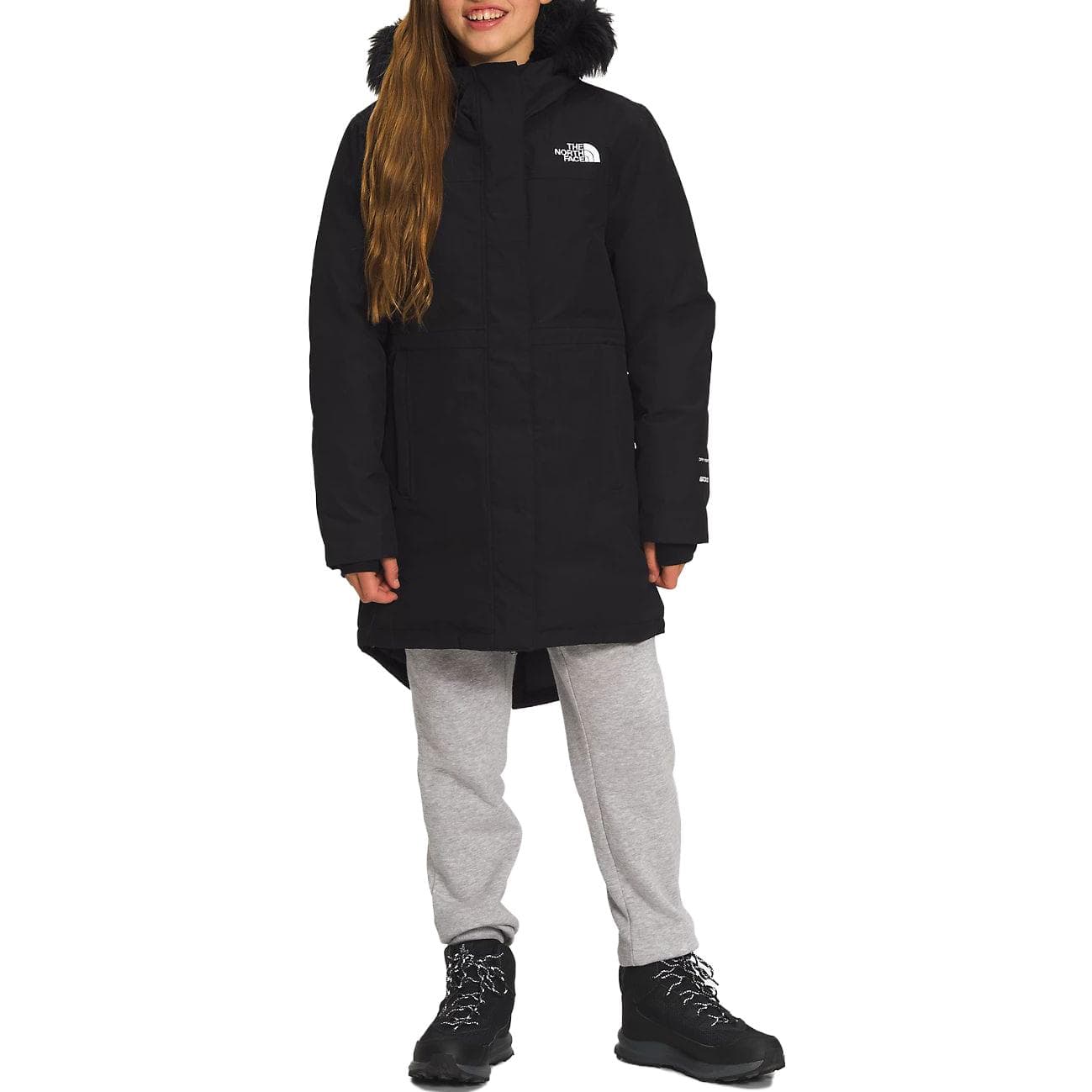 THE NORTH FACE Logo - изображение 2