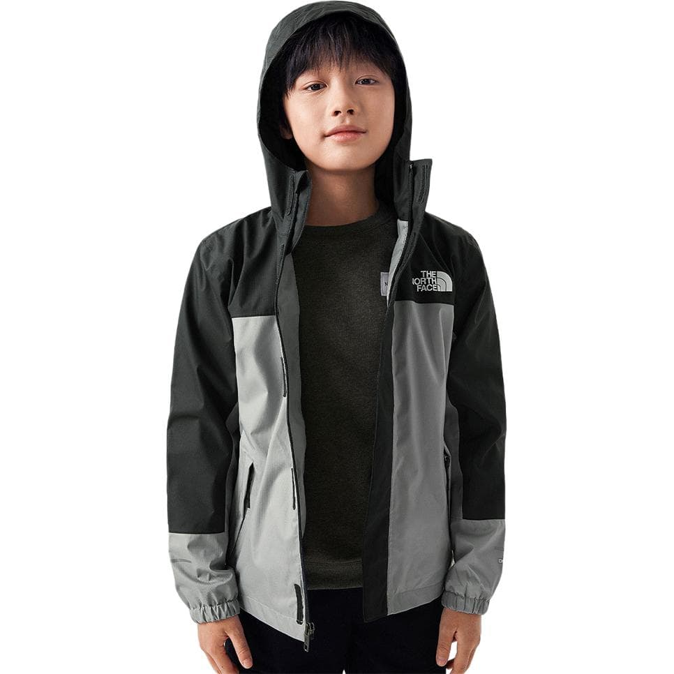 THE NORTH FACE Logo - изображение 2