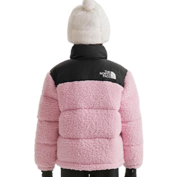 THE NORTH FACE 1996 ICON Logo - изображение 3