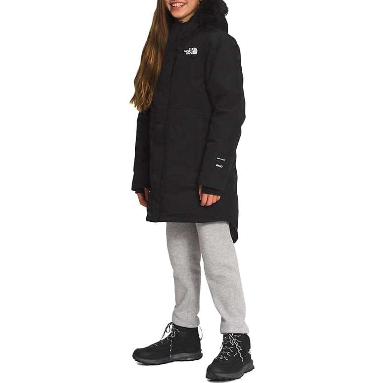 THE NORTH FACE Logo - изображение 4