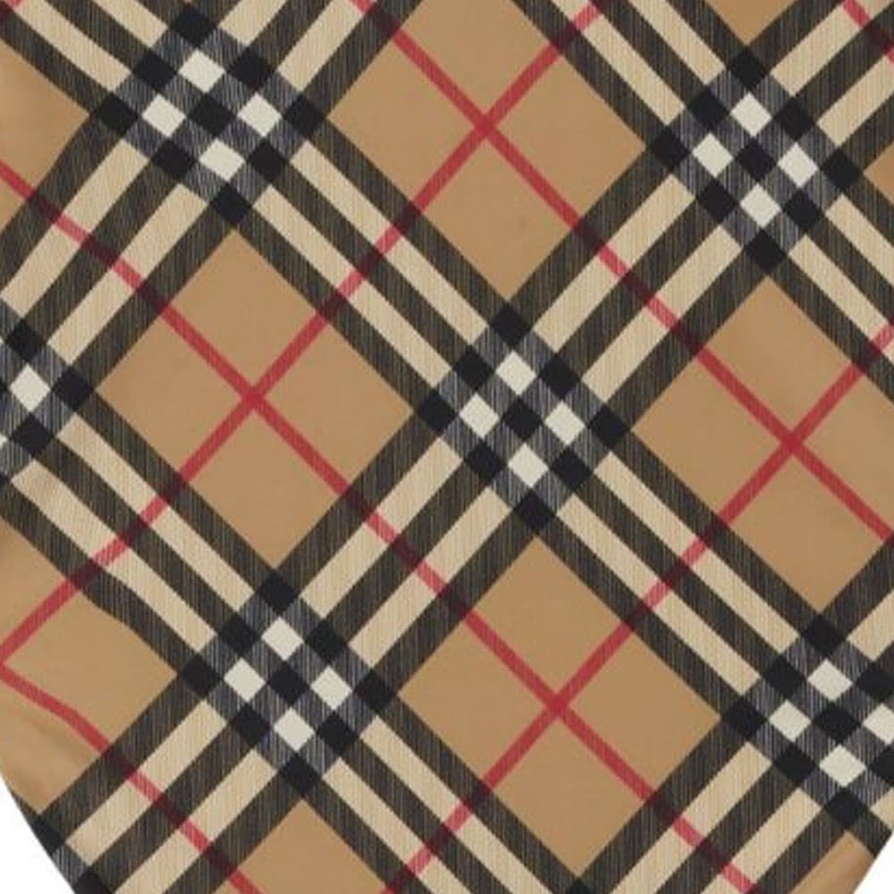 Burberry FW23 - изображение 5