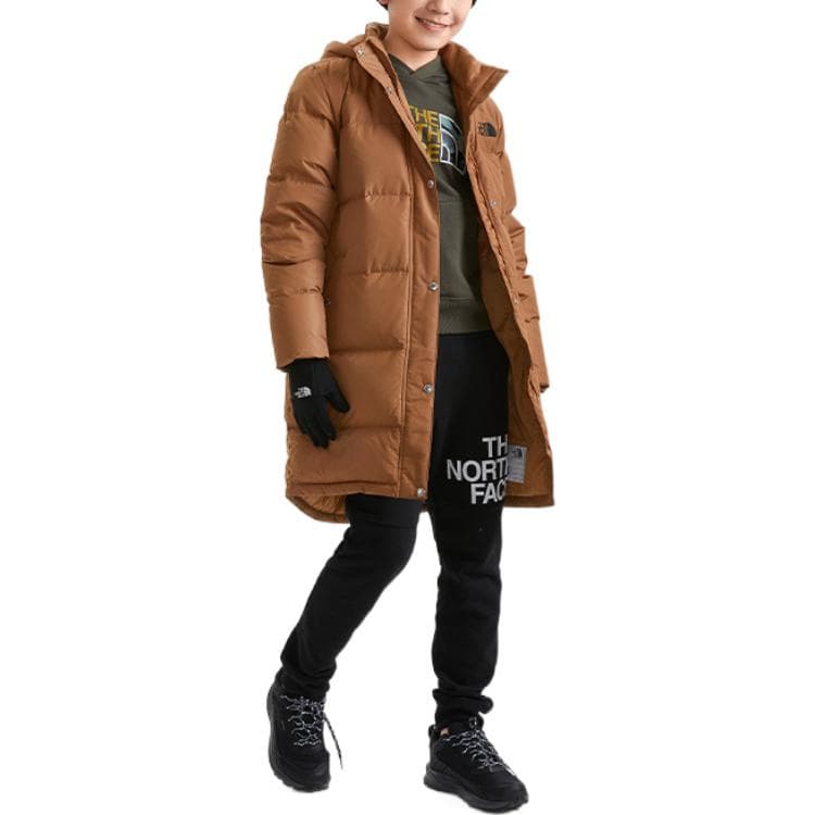 THE NORTH FACE Logo - изображение 2