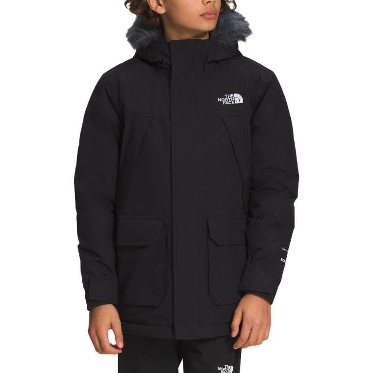 THE NORTH FACE Logo - изображение 2
