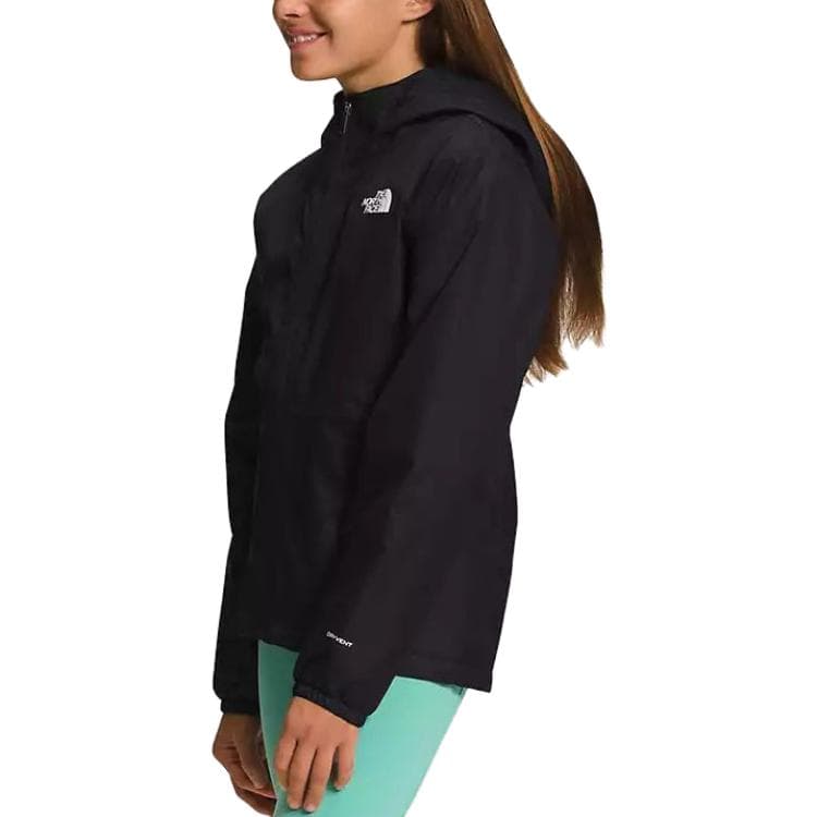THE NORTH FACE Logo - изображение 2