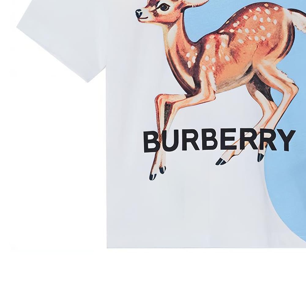 Футболка Burberry logoT - изображение 4