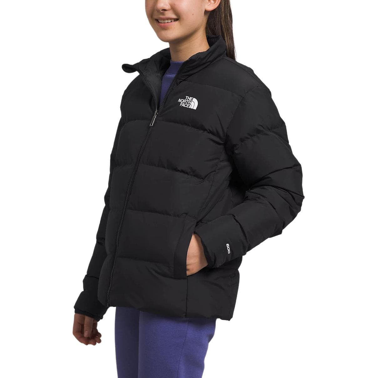 THE NORTH FACE Logo - изображение 5
