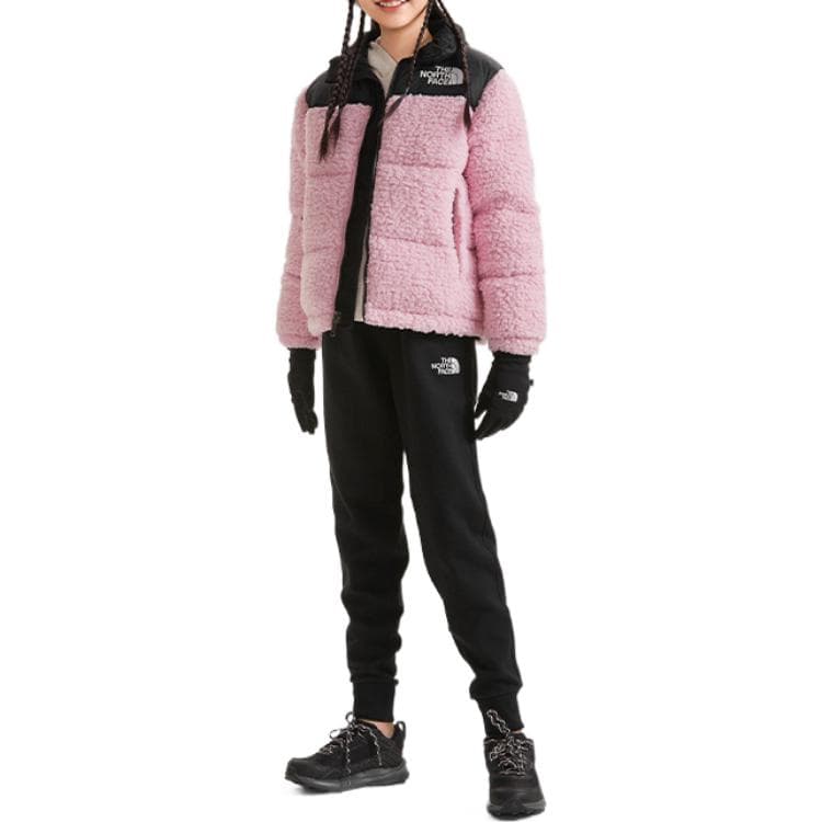 THE NORTH FACE 1996 ICON Logo - изображение 4