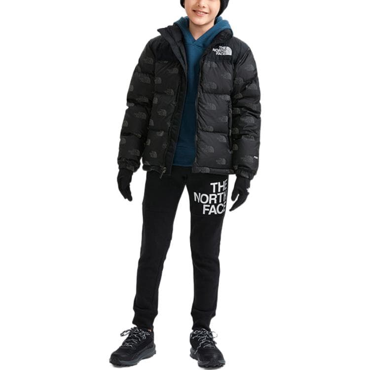 THE NORTH FACE 1996 ICON Logo - изображение 2