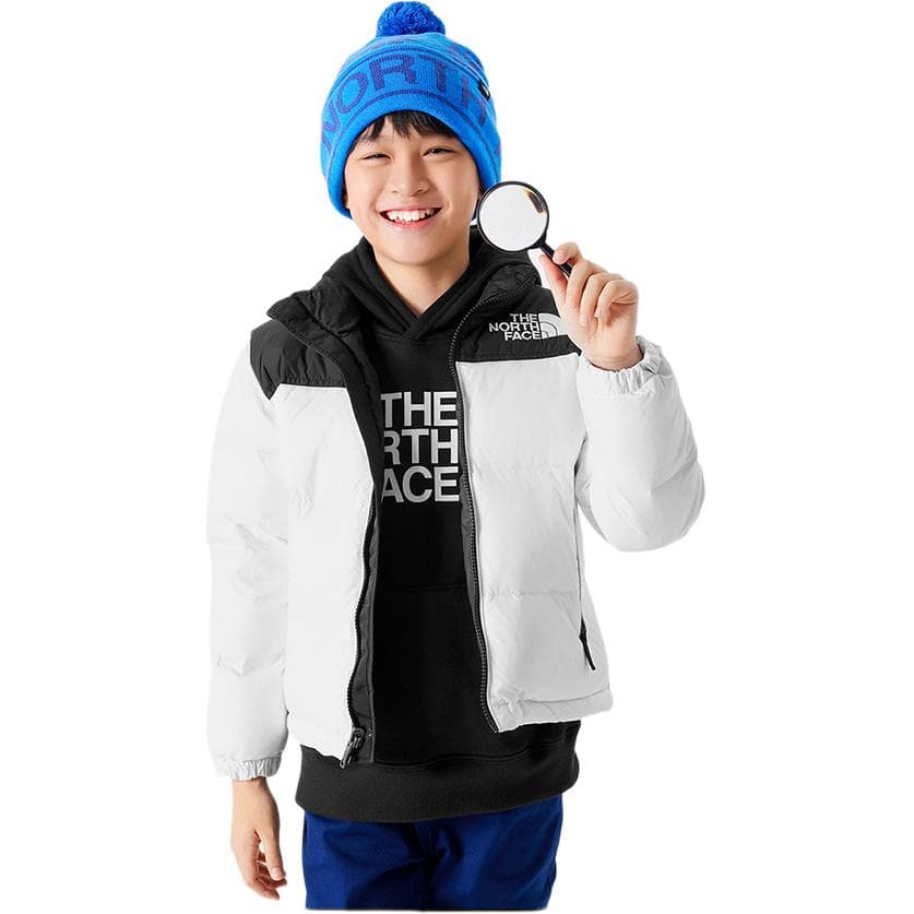 THE NORTH FACE Logo - изображение 4