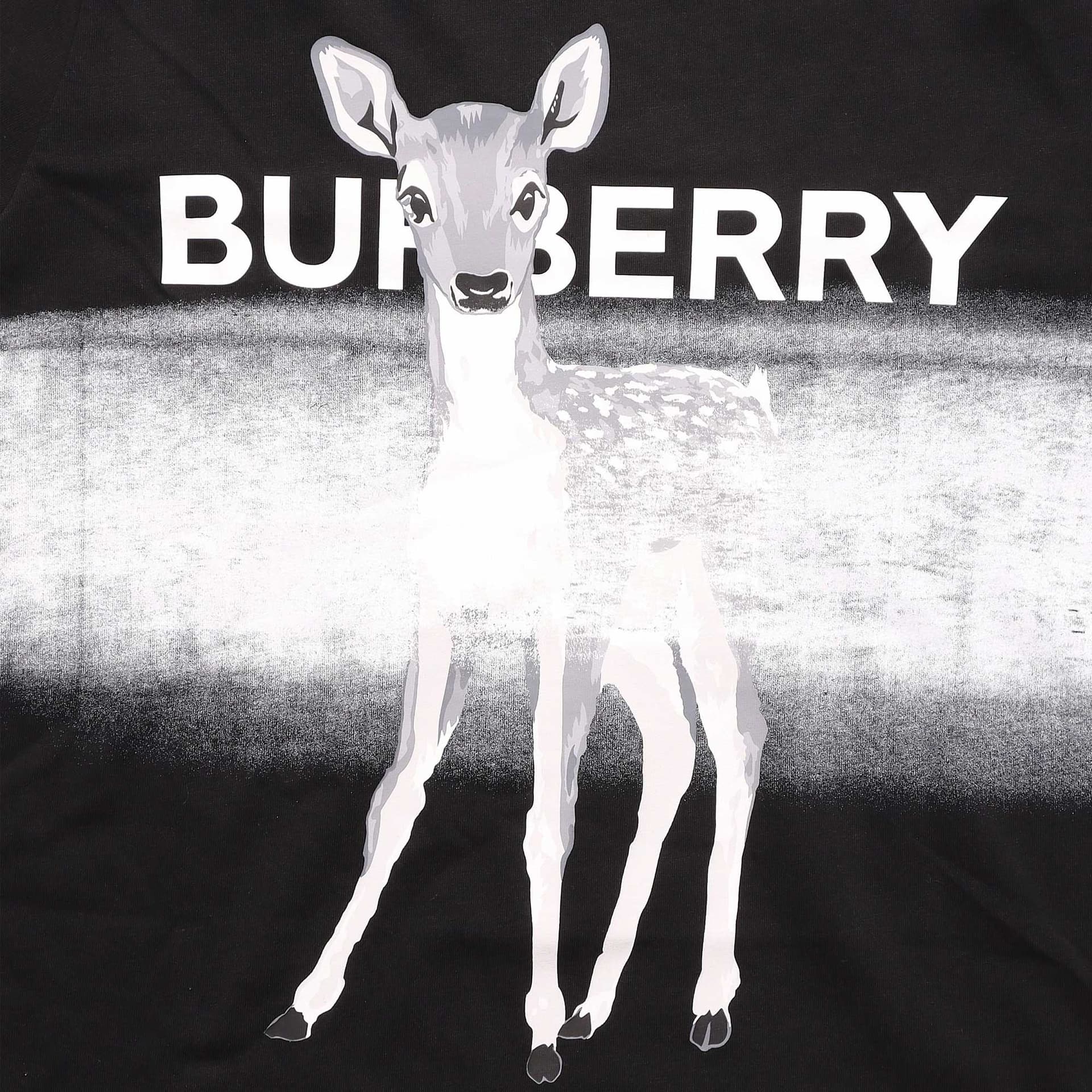 Футболка Burberry T - изображение 3