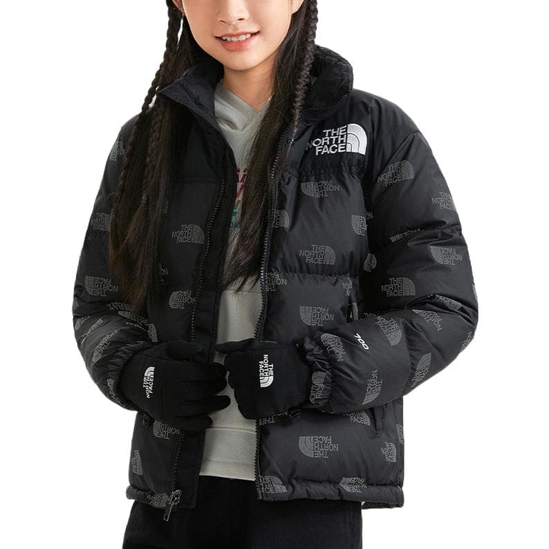 THE NORTH FACE 1996 ICON Logo - изображение 3