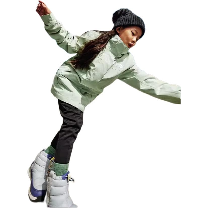 THE NORTH FACE Logo - изображение 3