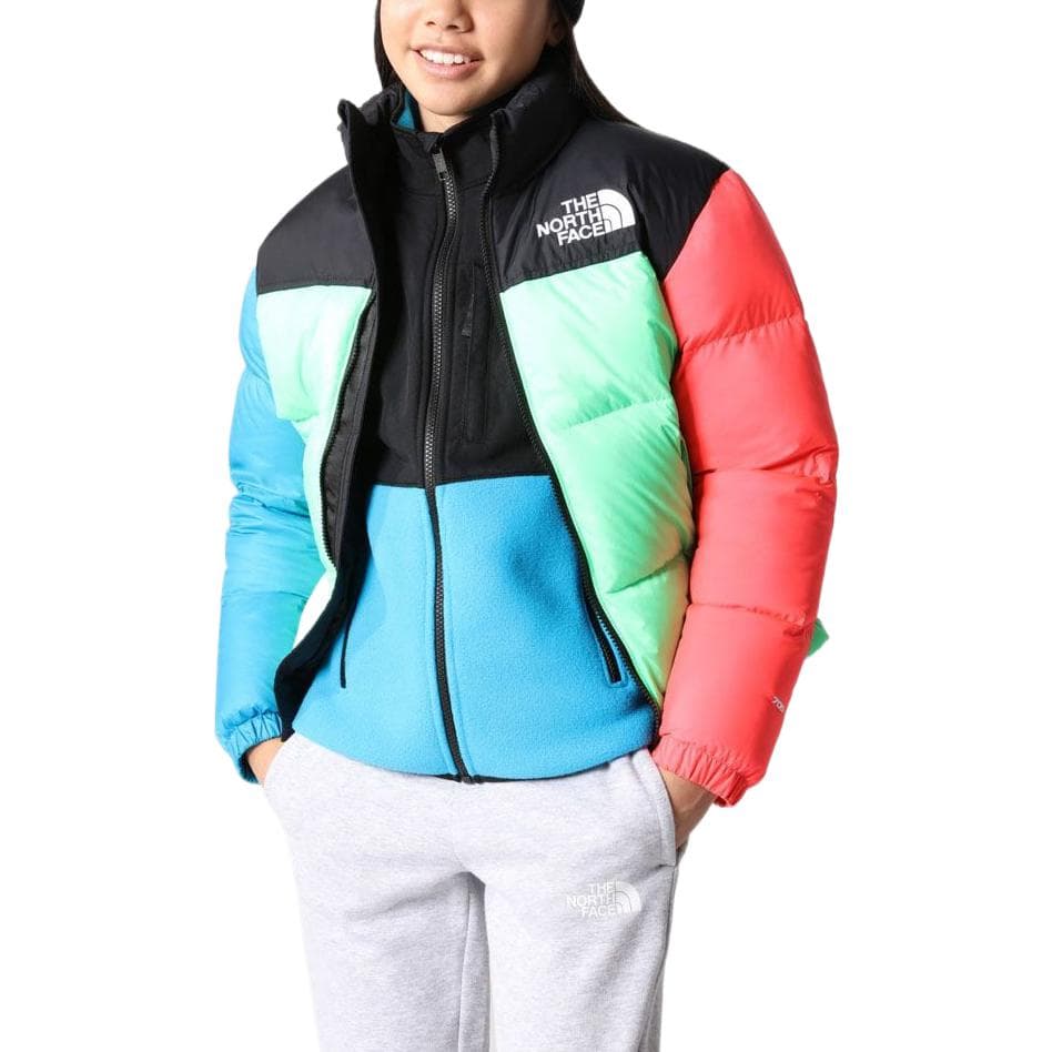 THE NORTH FACE 1996 Logo - изображение 3
