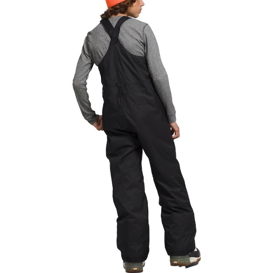 THE NORTH FACE Freedom Insulated Bibs - изображение 3