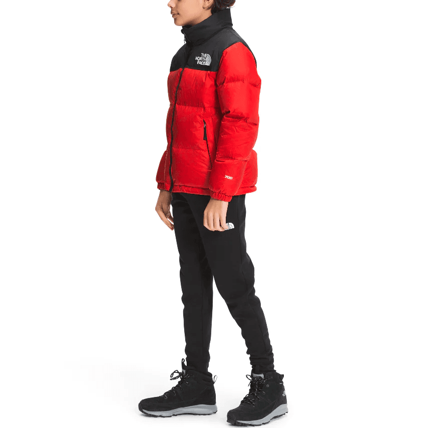 THE NORTH FACE 1996 Retro Nuptse Jacket Logo - изображение 2