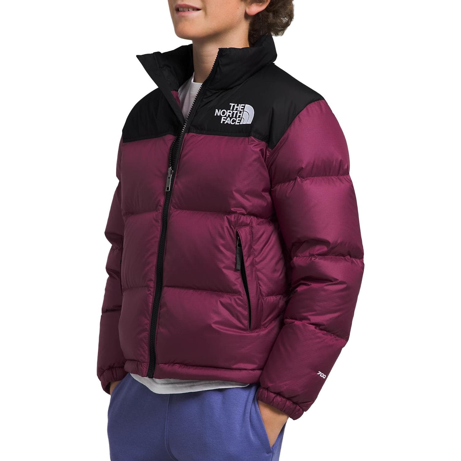 THE NORTH FACE 1996 Retro Nuptse Jacket - изображение 5