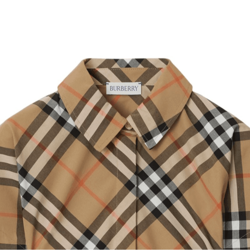Burberry SS24 - изображение 3