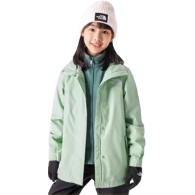 THE NORTH FACE Logo - изображение 6