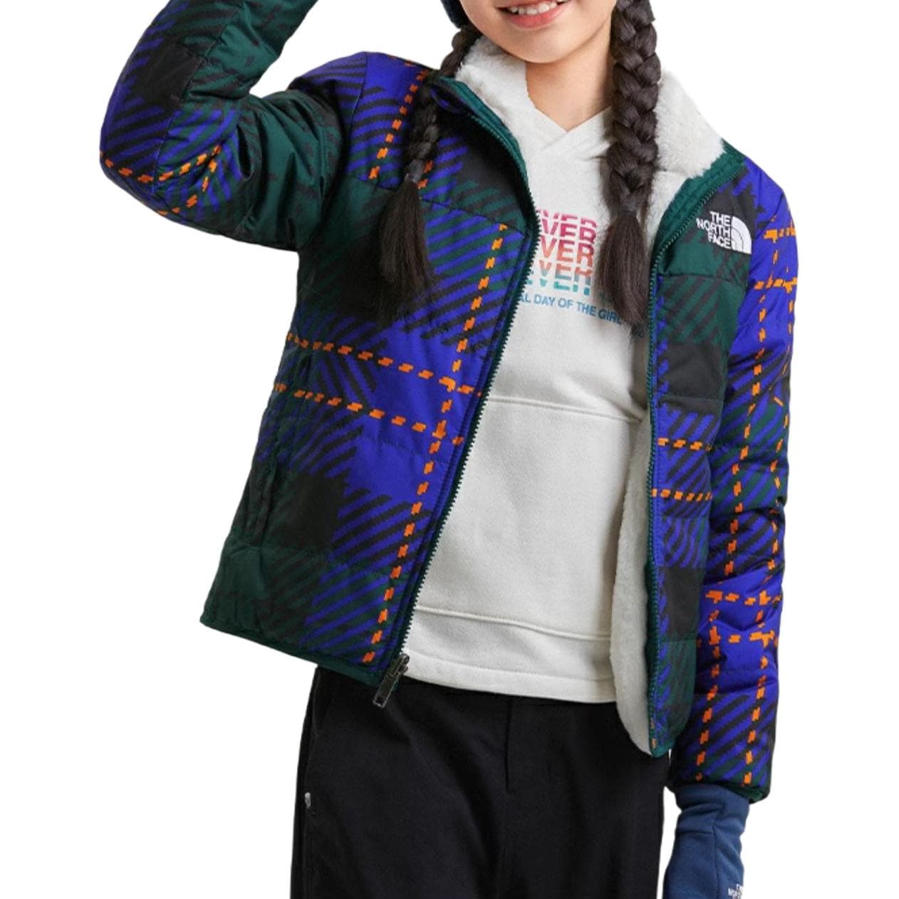 THE NORTH FACE Logo - изображение 3