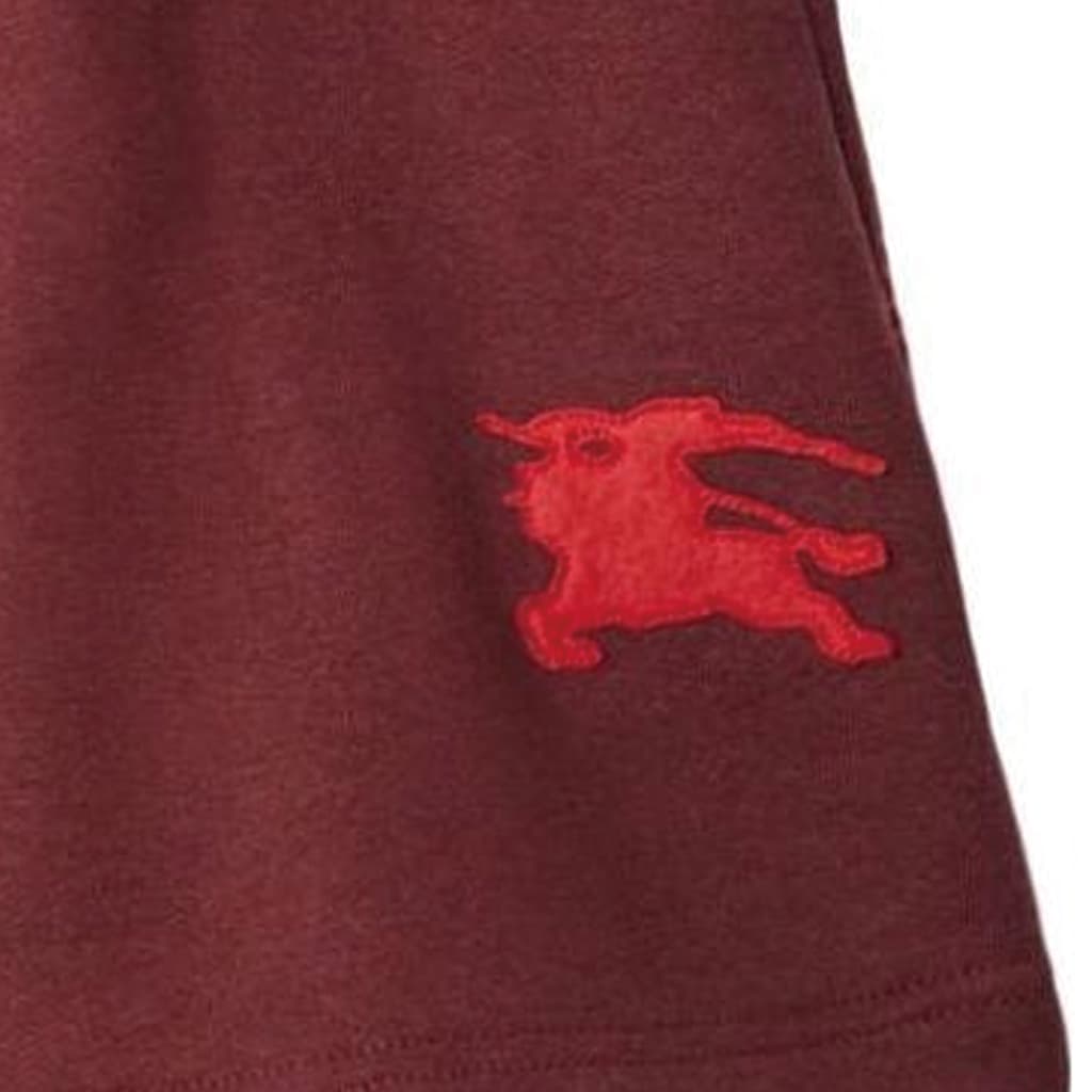 Burberry FW23 Logo - изображение 4
