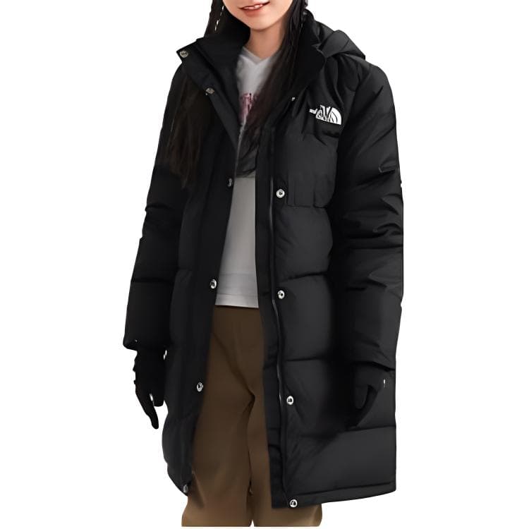 THE NORTH FACE Logo - изображение 3