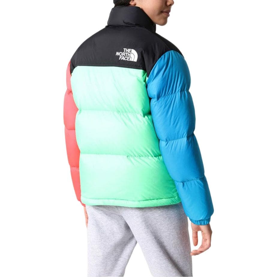 THE NORTH FACE 1996 Logo - изображение 4
