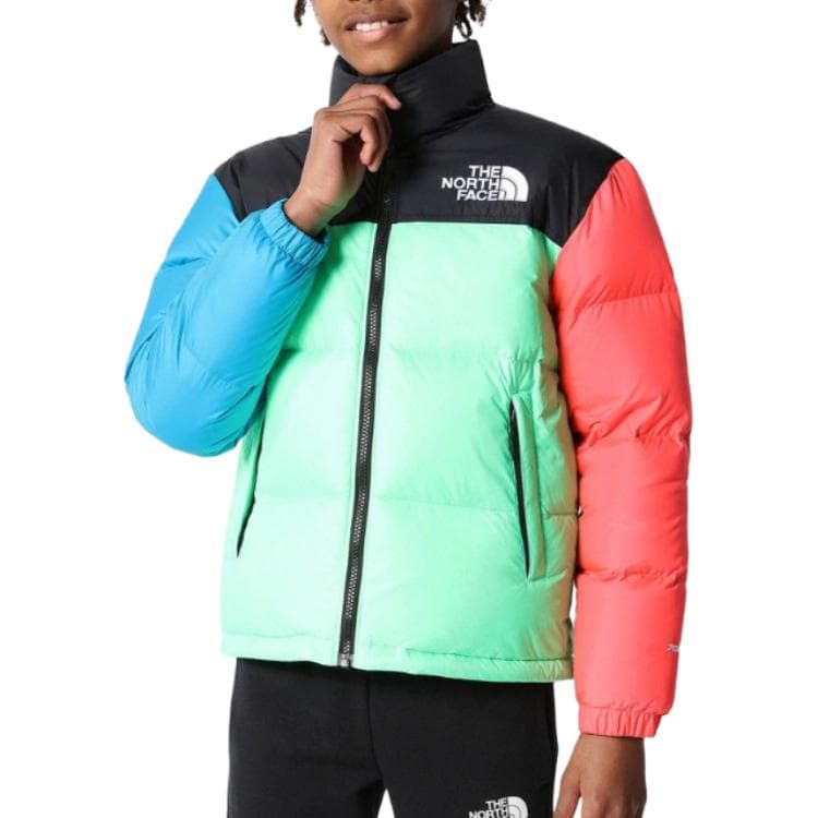 THE NORTH FACE 1996 Logo - изображение 6