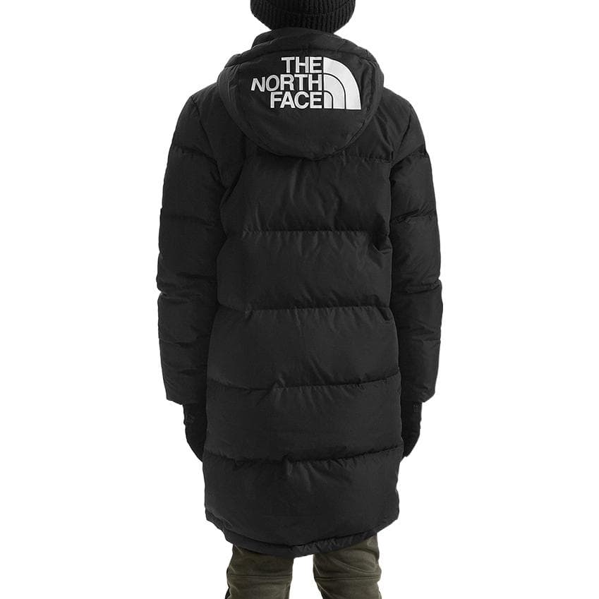 THE NORTH FACE Logo - изображение 5