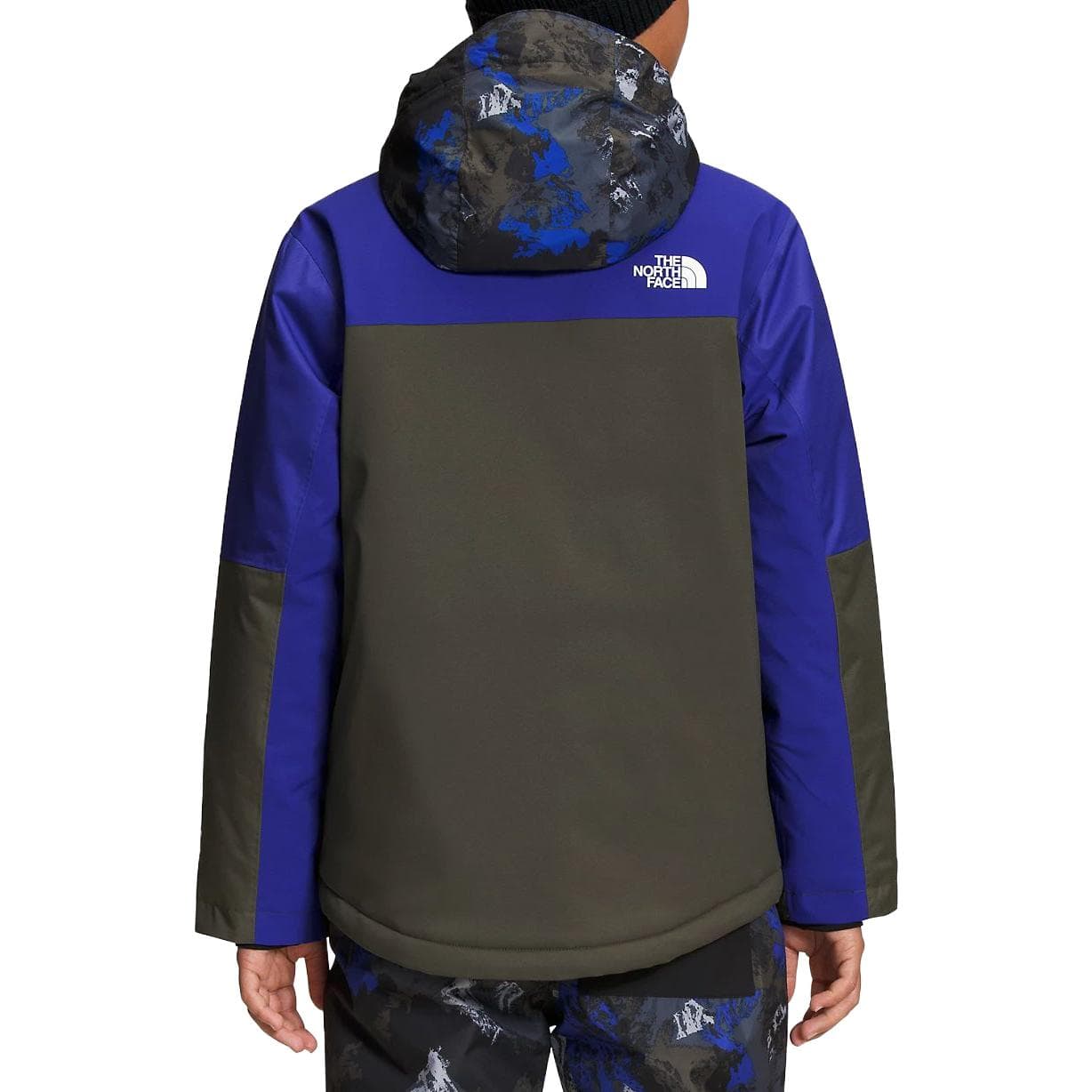 THE NORTH FACE Logo - изображение 3