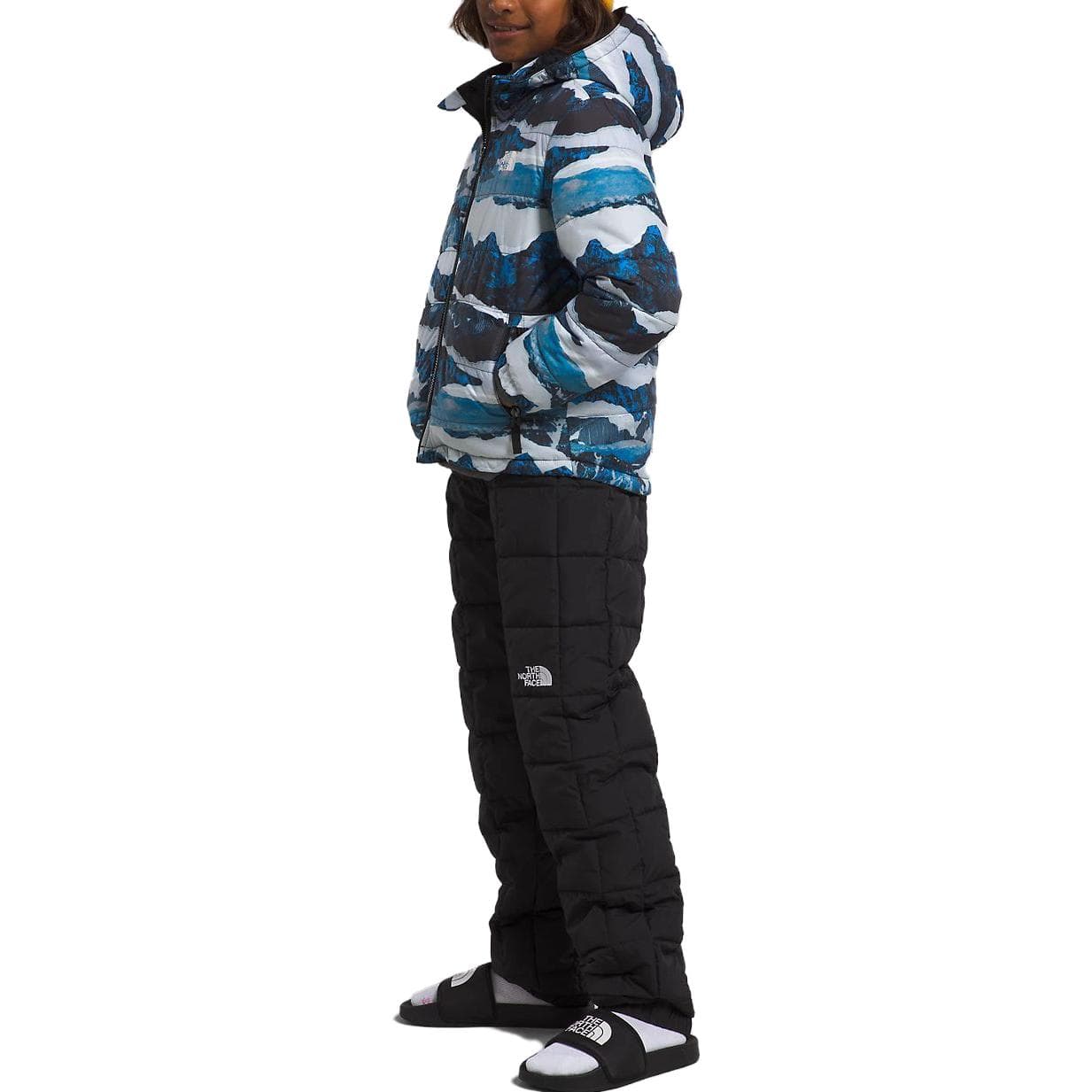 THE NORTH FACE - изображение 2