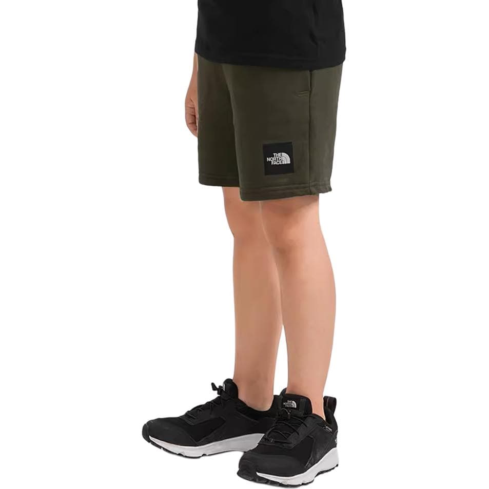 THE NORTH FACE Logo - изображение 5