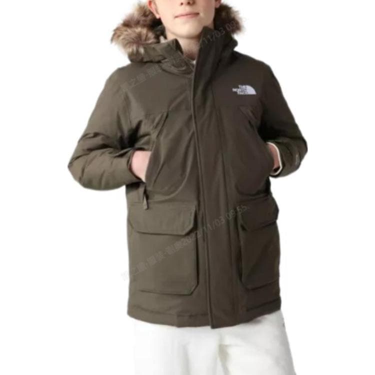 THE NORTH FACE Logo - изображение 3