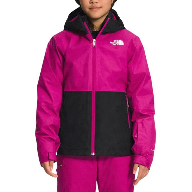 THE NORTH FACE Logo - изображение 6