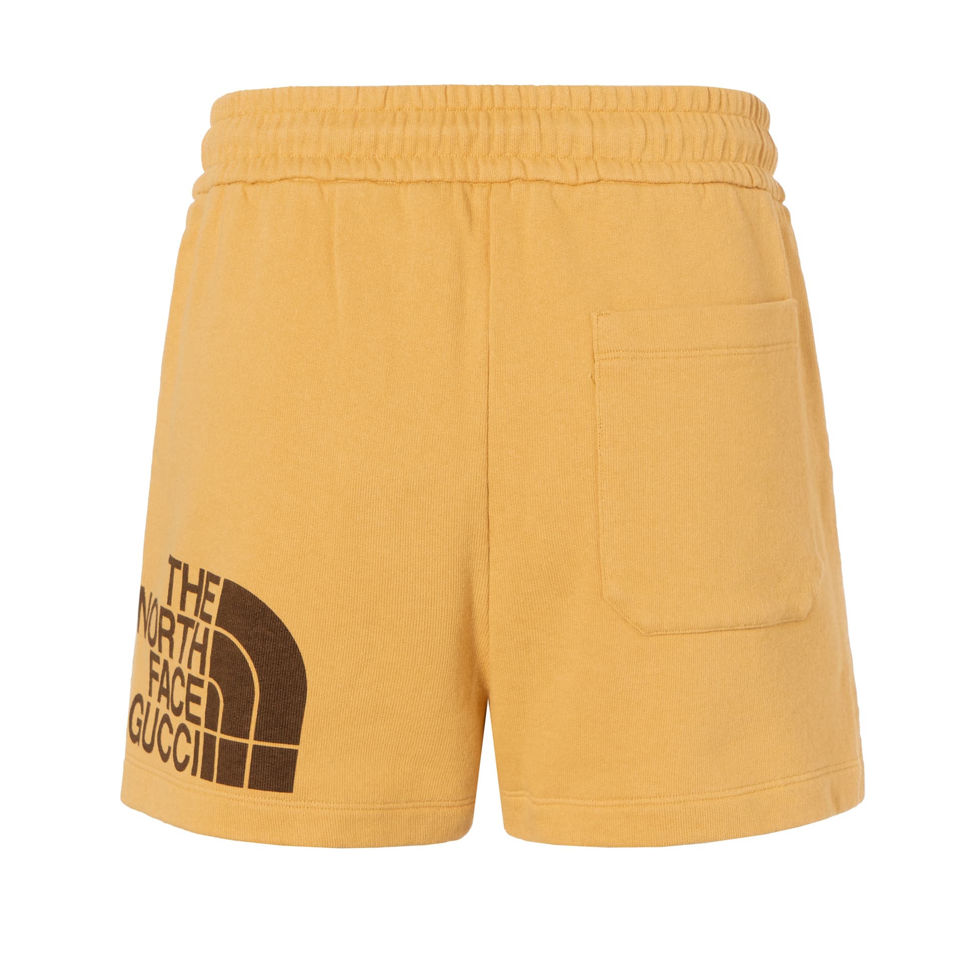 Шорты GUCCI x THE NORTH FACE SS21 Shorts - изображение 2