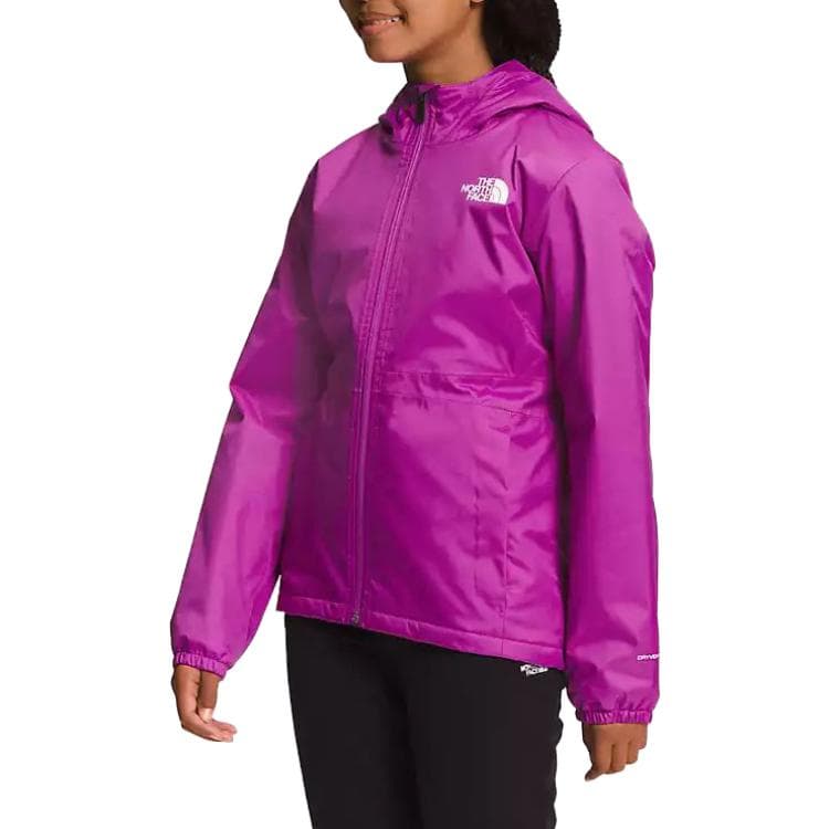 THE NORTH FACE Logo - изображение 3