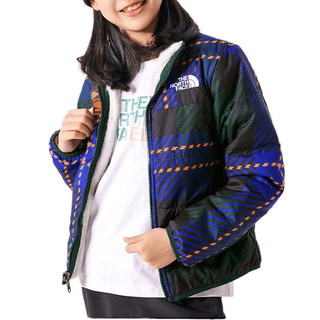 THE NORTH FACE Logo - изображение 2