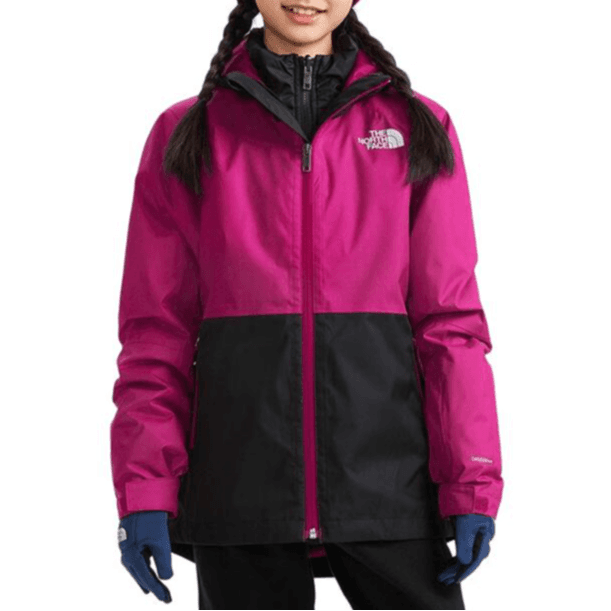 THE NORTH FACE Logo - изображение 3