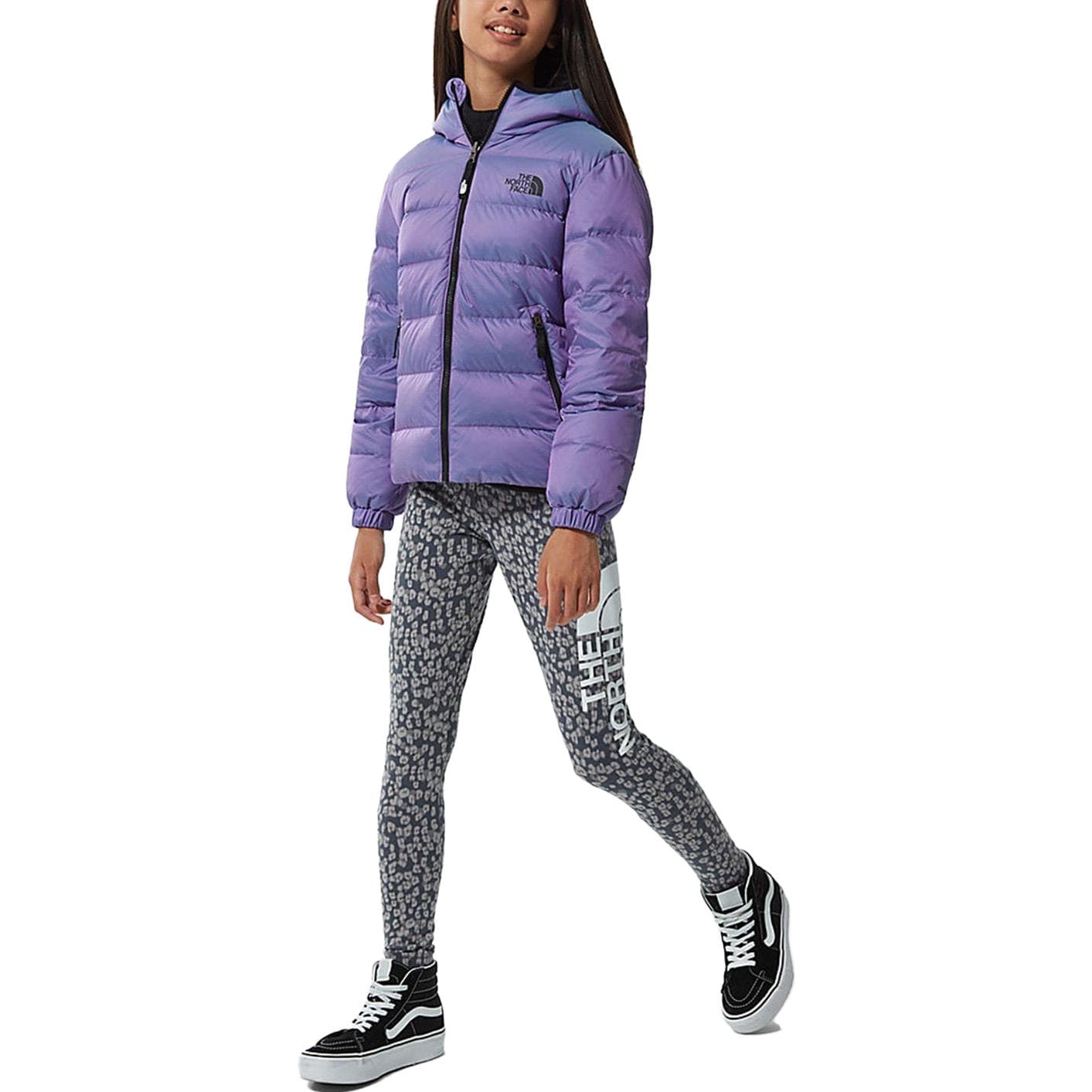 THE NORTH FACE Logo - изображение 3
