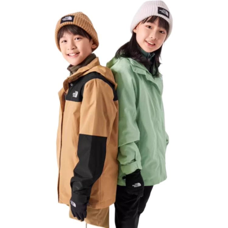 THE NORTH FACE Logo - изображение 8