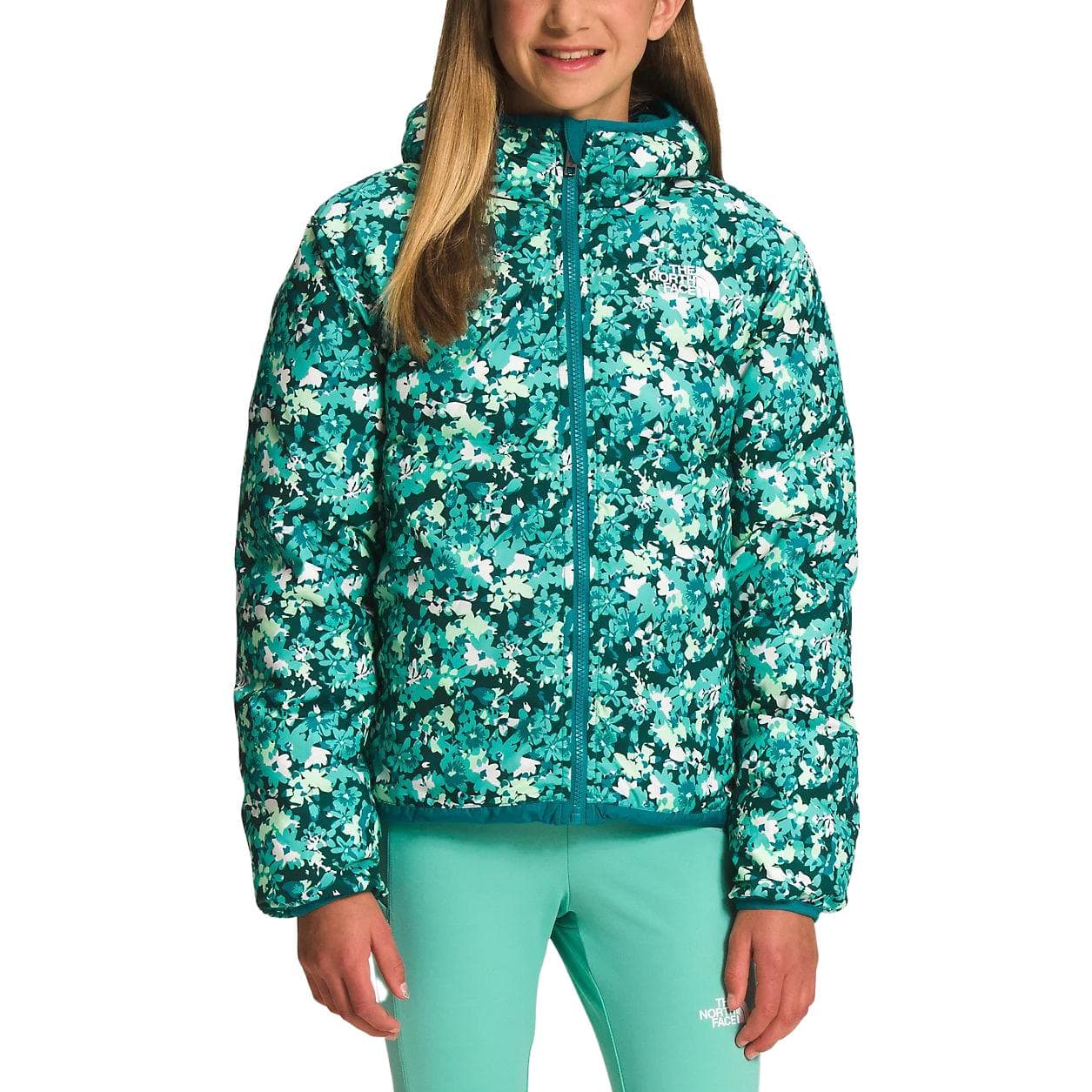 THE NORTH FACE Logo - изображение 2