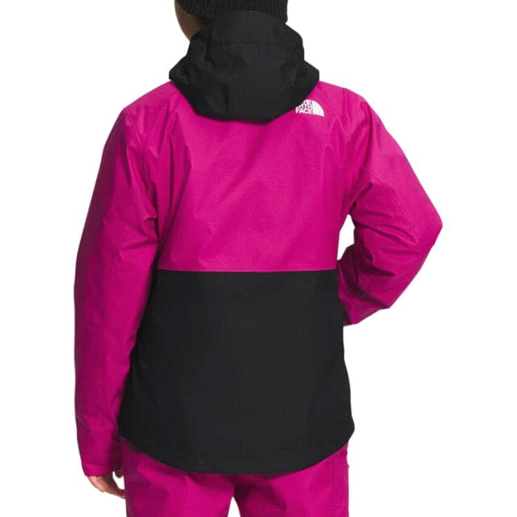 THE NORTH FACE Logo - изображение 7