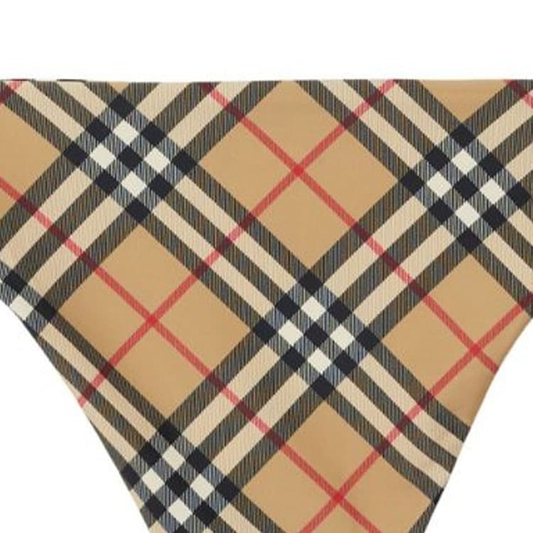 Burberry FW23 - изображение 5