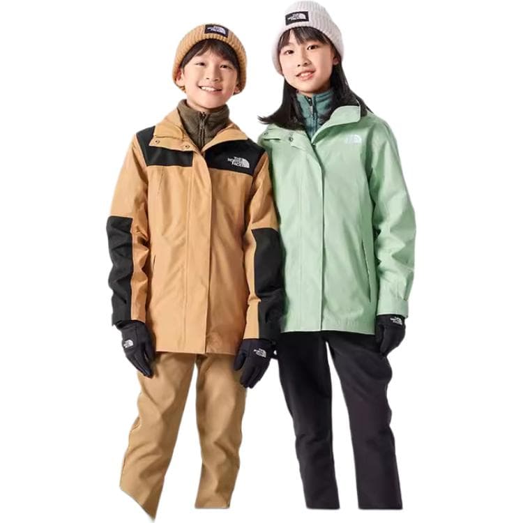 THE NORTH FACE Logo - изображение 4