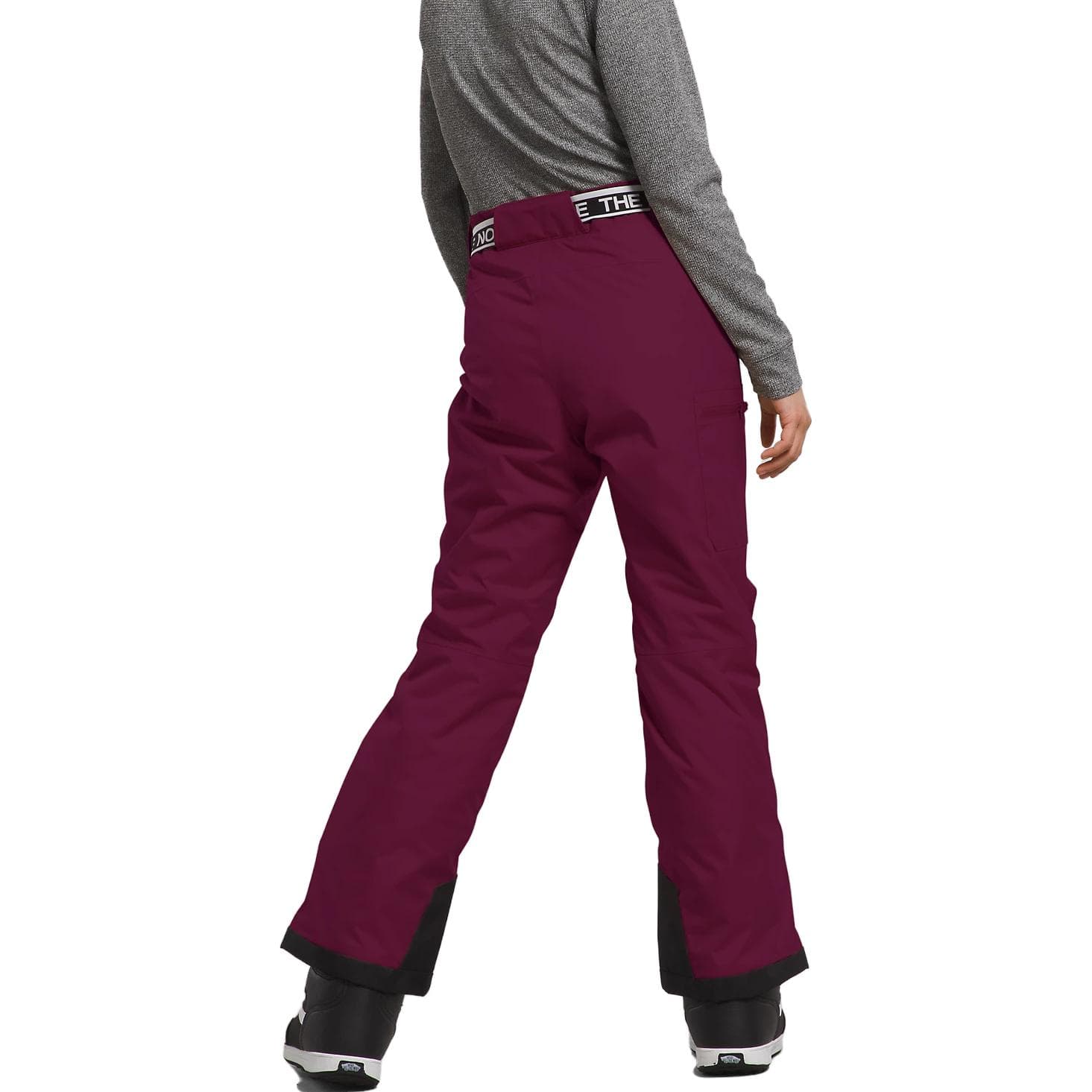 THE NORTH FACE Freedom Insulated Pants - изображение 3