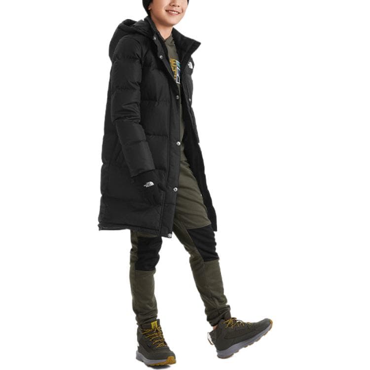 THE NORTH FACE Logo - изображение 4