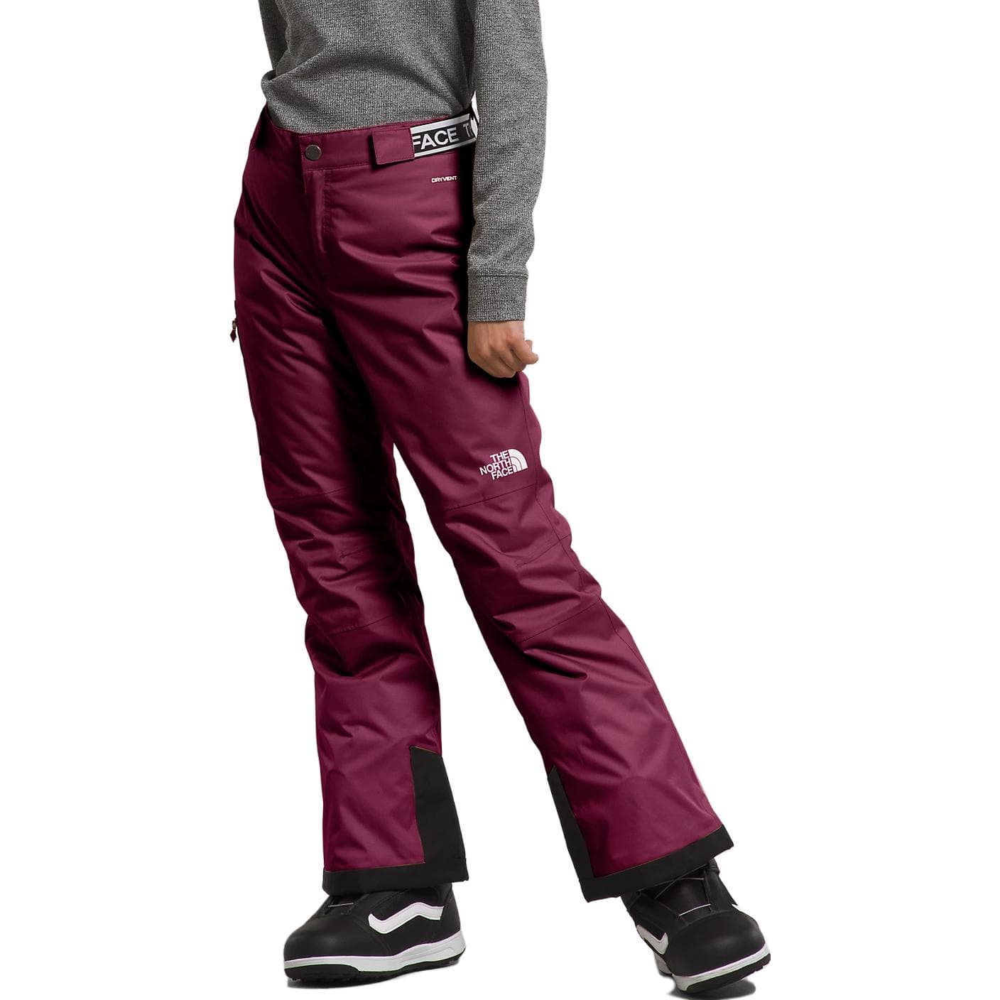 THE NORTH FACE Freedom Insulated Pants - изображение 2