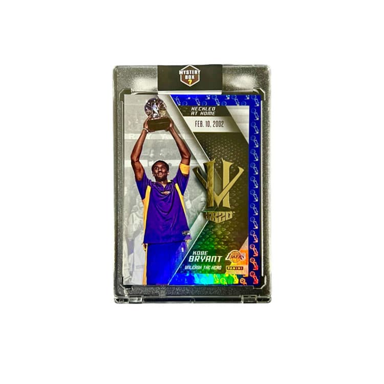 PANINI MVP - изображение 3