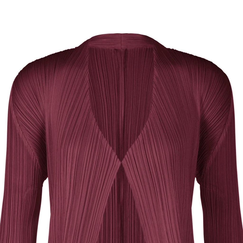 PLEATS PLEASE ISSEY MIYAKE V - изображение 2