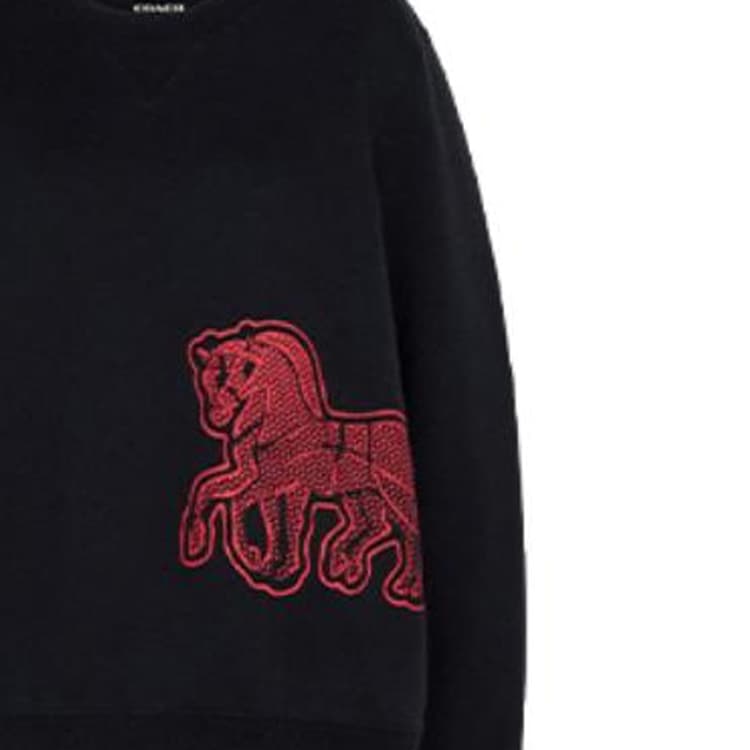 Худи COACH - изображение 9