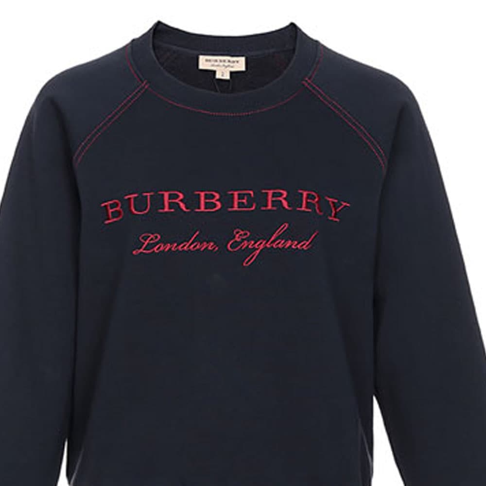 Худи Burberry Logo - изображение 3